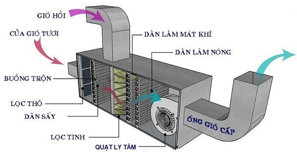 AHU - CẤU TẠO CHUNG CỦA AHU - NGUYÊN LÝ HOẠT ĐỘNG CỦA AHU